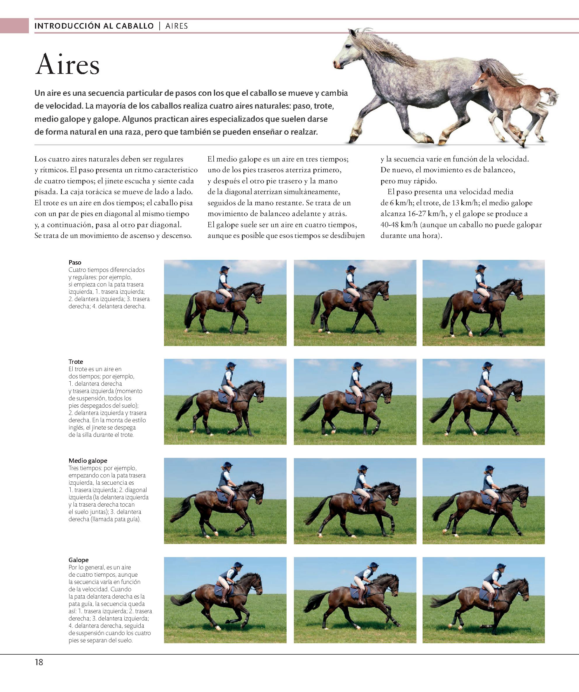 Foto 3 pulgar | Enciclopedia Del Caballo Blume Tapa Dura