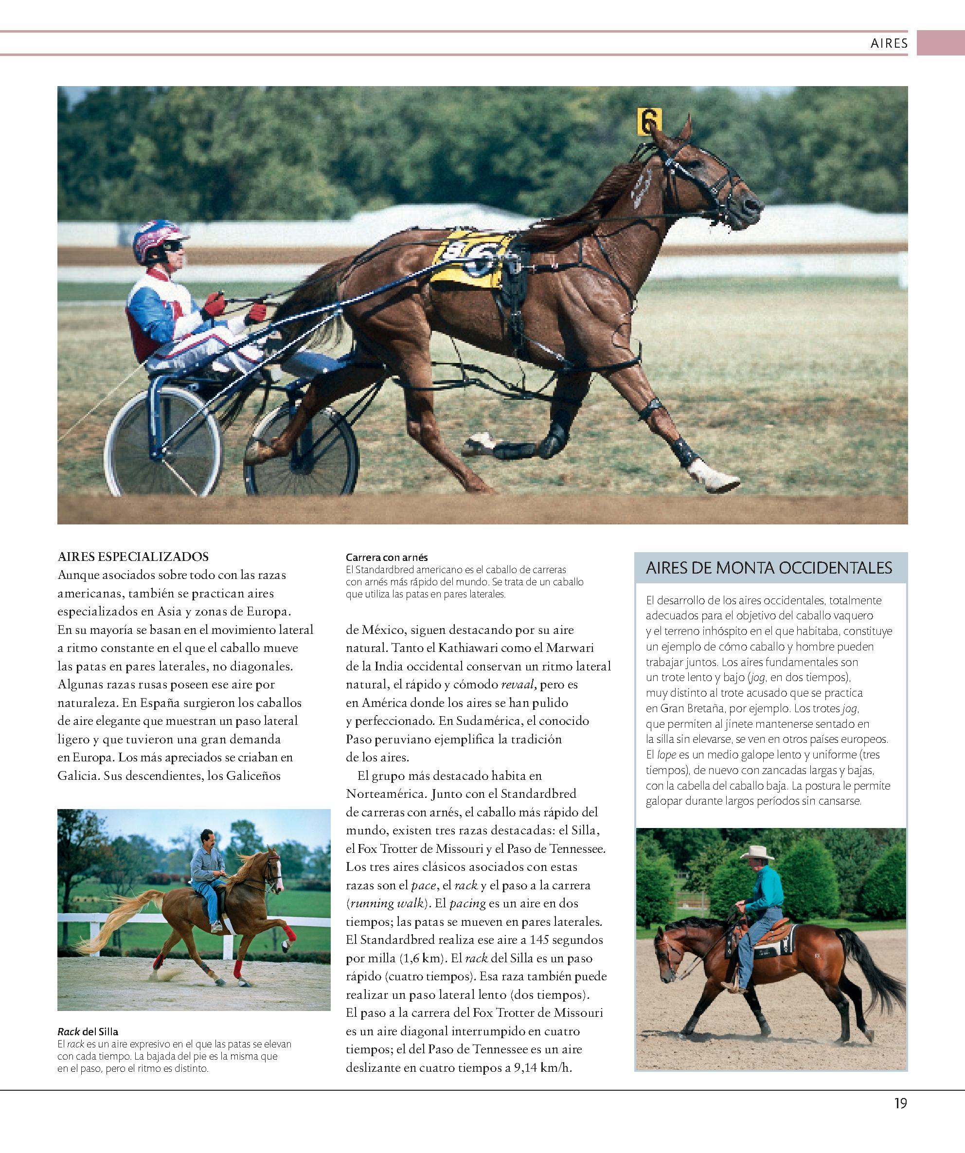 Foto 4 pulgar | Enciclopedia Del Caballo Blume Tapa Dura