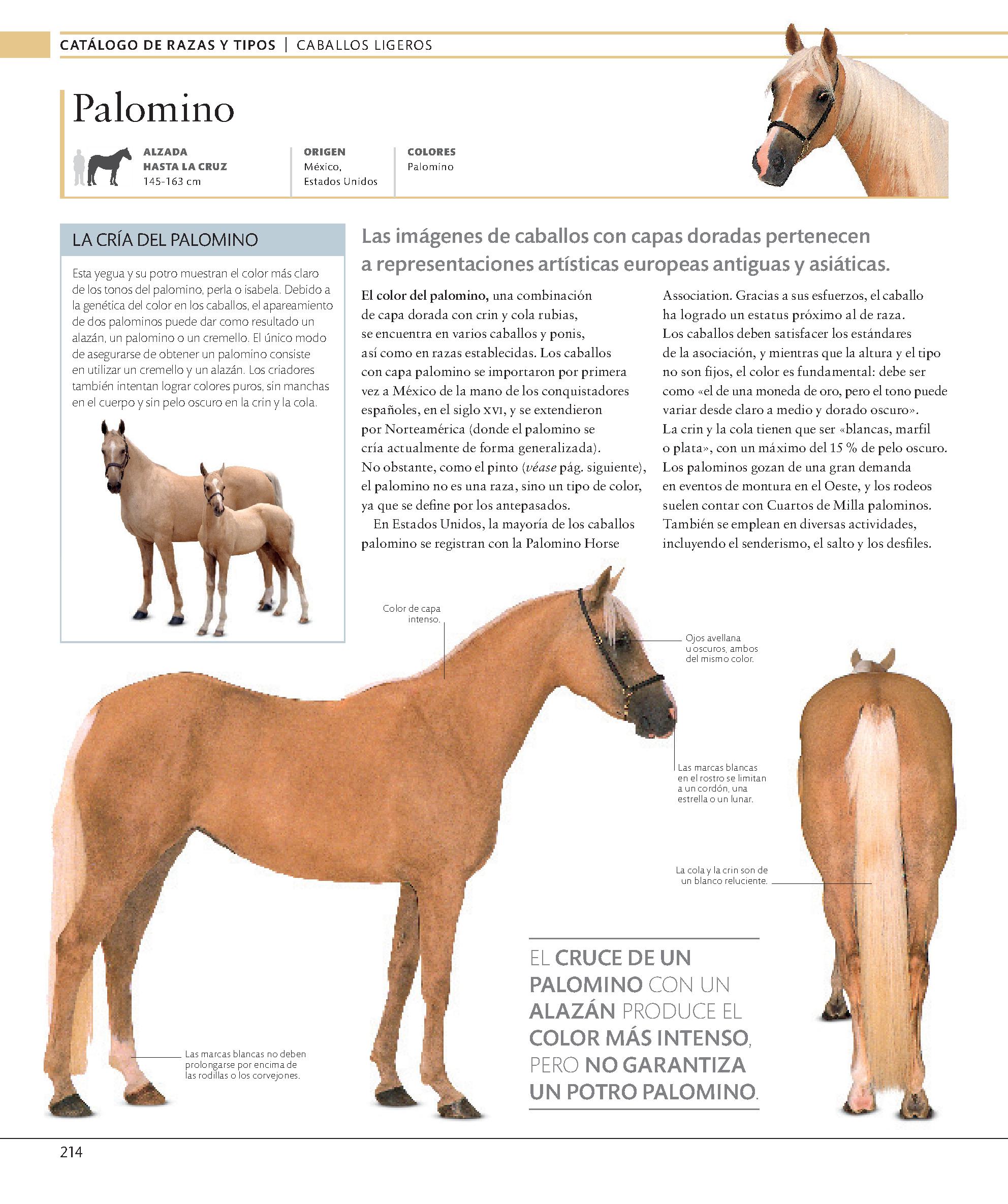 Foto 5 pulgar | Enciclopedia Del Caballo Blume Tapa Dura