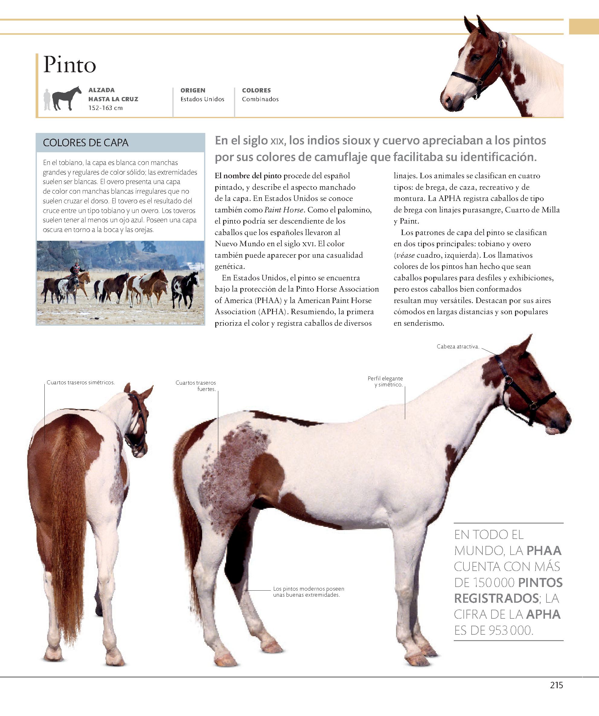 Foto 6 pulgar | Enciclopedia Del Caballo Blume Tapa Dura
