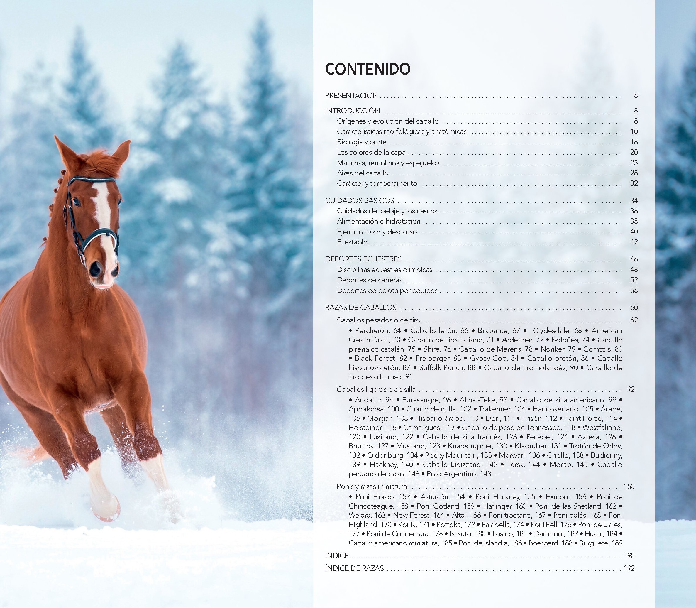 Foto 3 pulgar | Enciclopedia Ilustrada Del Caballo De Carmen Martul Marin Tapa Dura