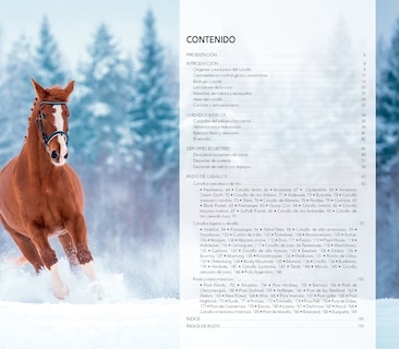 Foto 2 | Enciclopedia Ilustrada Del Caballo De Carmen Martul Marin Tapa Dura