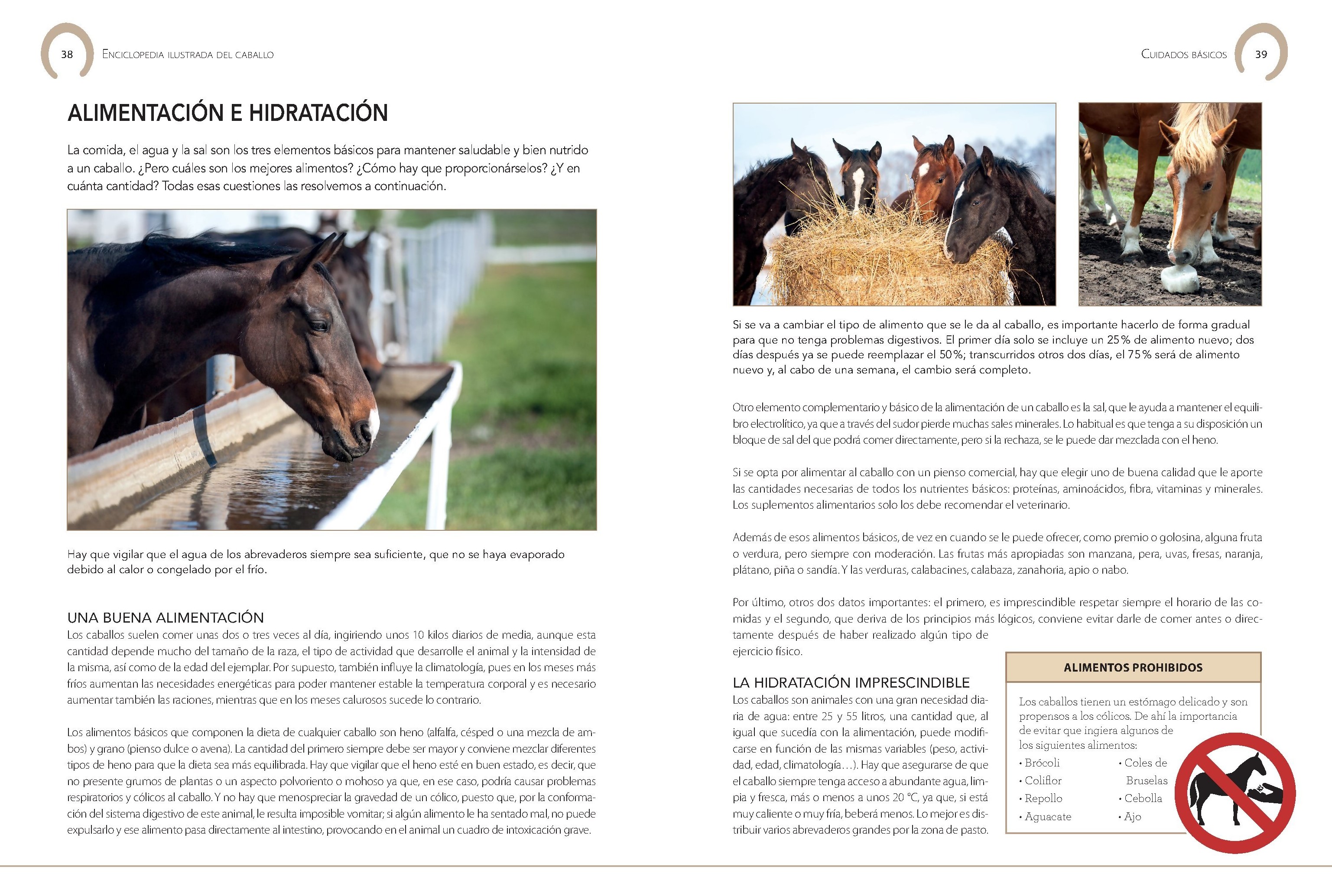 Foto 4 pulgar | Enciclopedia Ilustrada Del Caballo De Carmen Martul Marin Tapa Dura