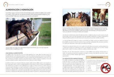 Foto 3 | Enciclopedia Ilustrada Del Caballo De Carmen Martul Marin Tapa Dura