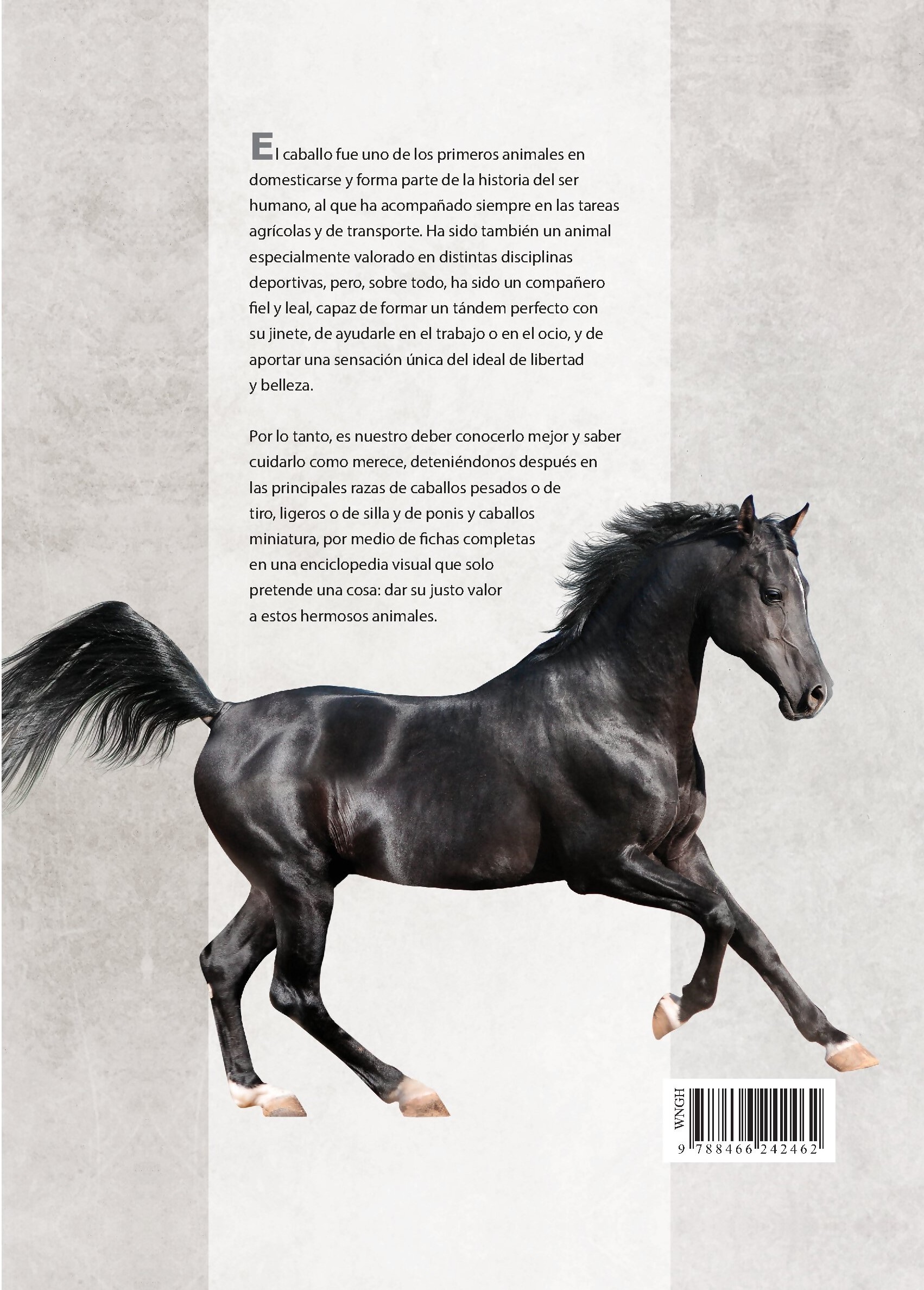 Foto 6 pulgar | Enciclopedia Ilustrada Del Caballo De Carmen Martul Marin Tapa Dura
