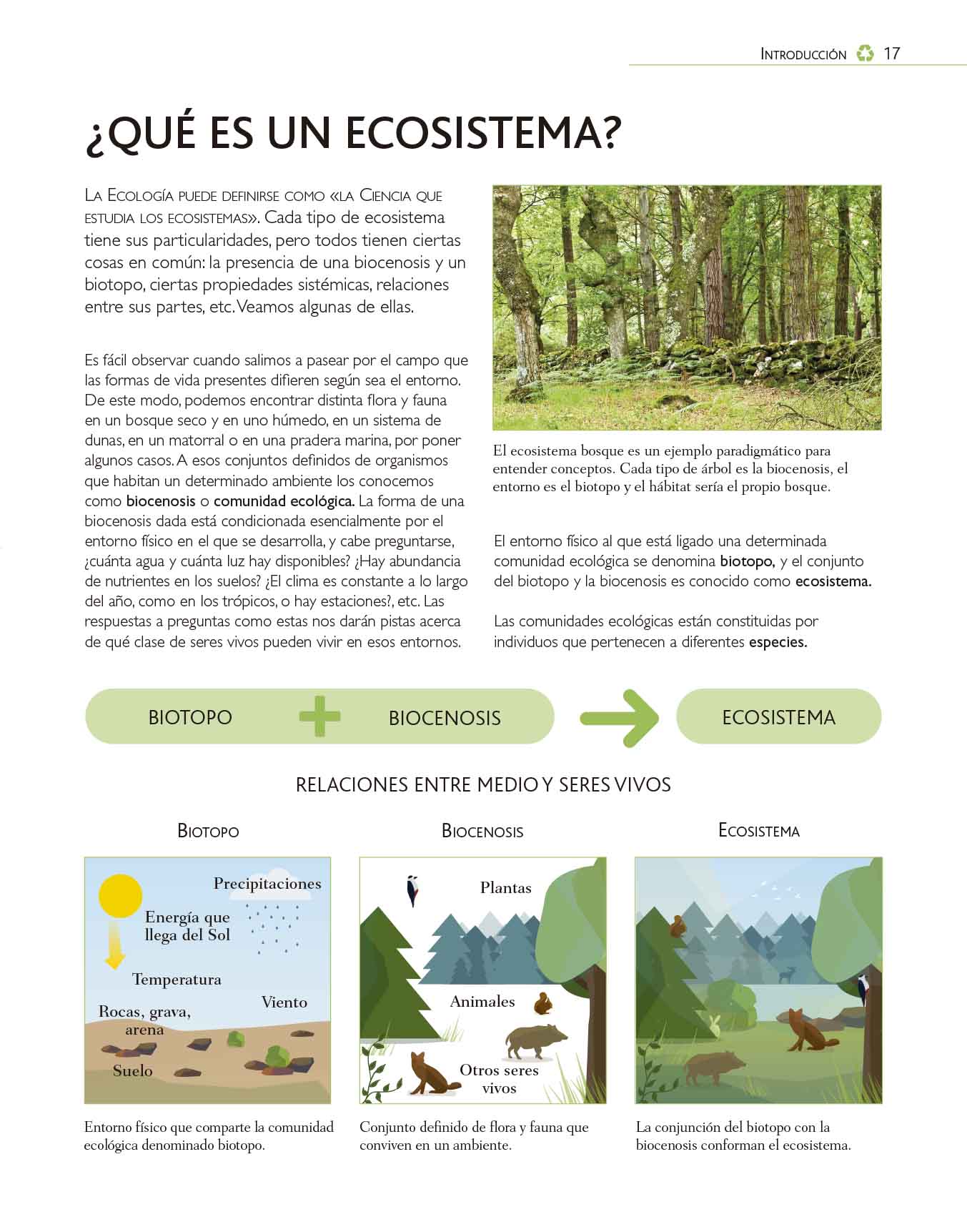 Foto 4 pulgar | El Libro De La Ecologia Gerardo Costea Y Angel Luis Leon Libsa Pasta Dura