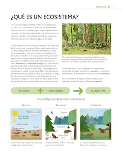 Foto 3 | El Libro De La Ecologia Gerardo Costea Y Angel Luis Leon Libsa Pasta Dura