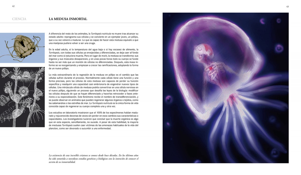 Foto 3 pulgar | Secretos Del Infinito Antonio Lamua Librero Pasta Dura