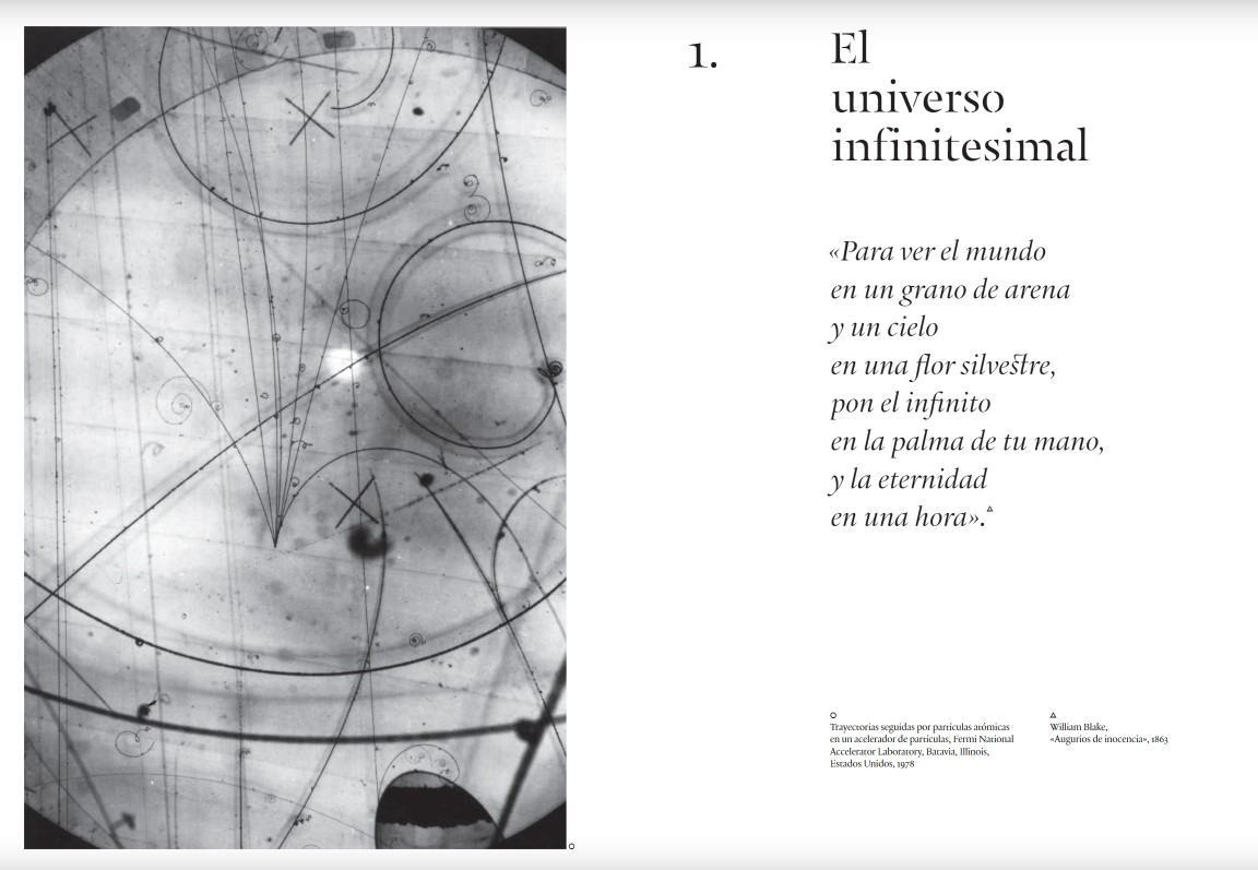 Foto 4 | Danza Cosmica Stephen Ellcock Blume Pasta Dura