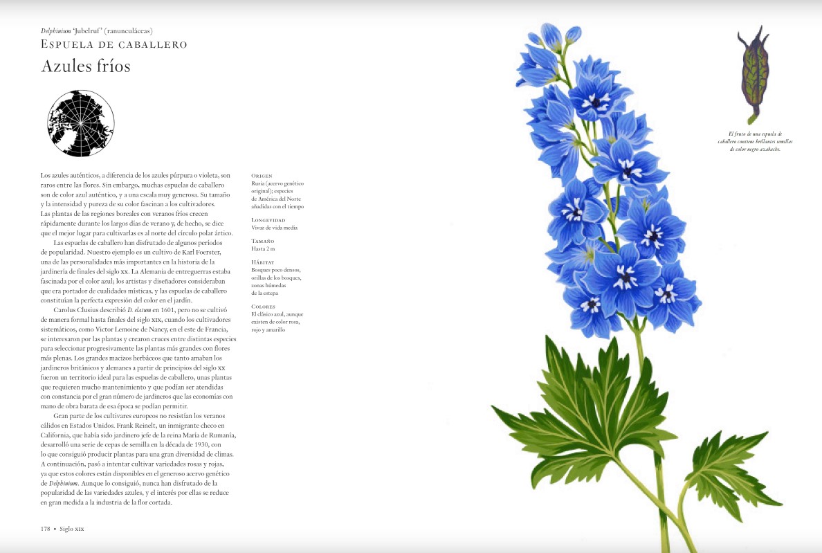 Foto 3 pulgar | Historia De Las Flores Noel Kingsbury Y Chalotte Day Blume Pasta Dura