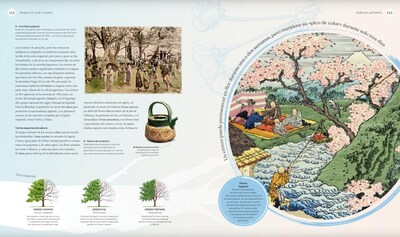 Foto 3 | Libro Del Arbol Varios Autores Blume Pasta Dura