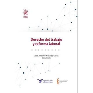 Foto 1 | Derecho Del Trabajo Y Reforma Laboral