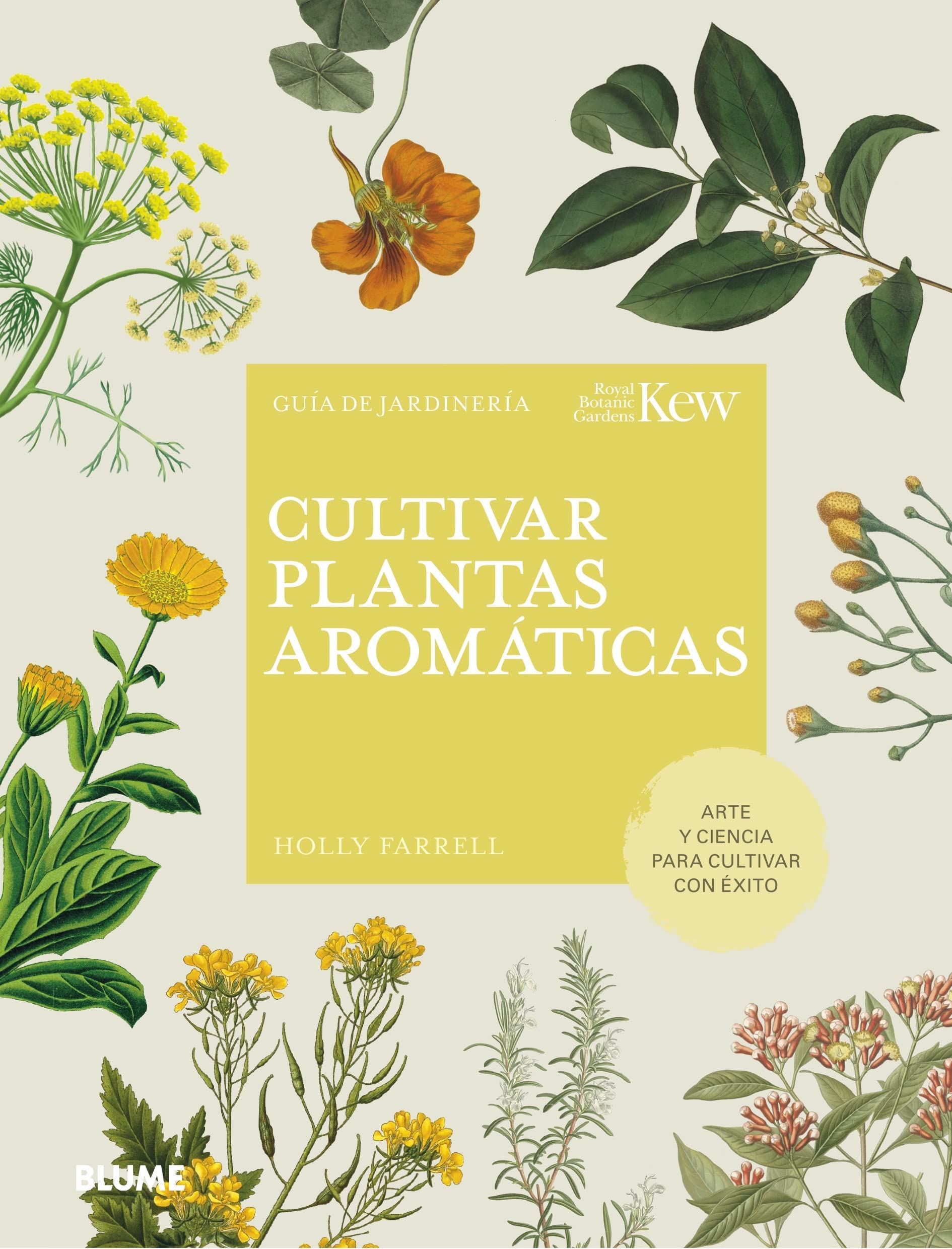 Cultivar Plantas Aromaticas Holly Farrell Kew Royal Blume Pasta Dura