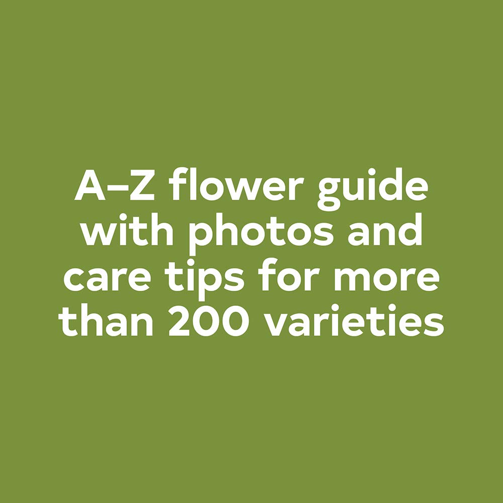 Foto 3 | Reserve A Year In Flowers Designing Arrangements De Floret Farm - Venta Internacional.