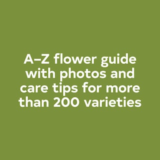 Foto 3 | Reserve A Year In Flowers Designing Arrangements De Floret Farm - Venta Internacional.