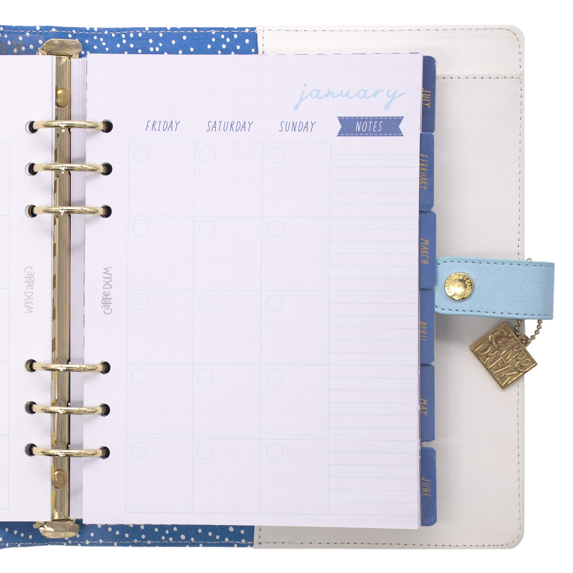 Foto 5 | Planner Pukka Pad Carpe Diem A5 Con Insertos De Plumas De 25 X 24 X 5 Cm - Venta Internacional.