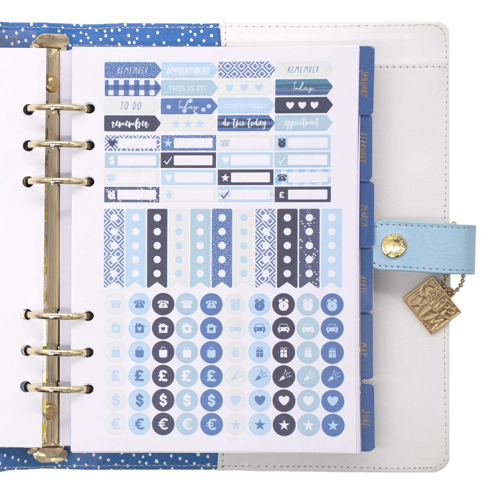 Foto 7 pulgar | Planner Pukka Pad Carpe Diem A5 Con Insertos De Plumas De 25 X 24 X 5 Cm - Venta Internacional.