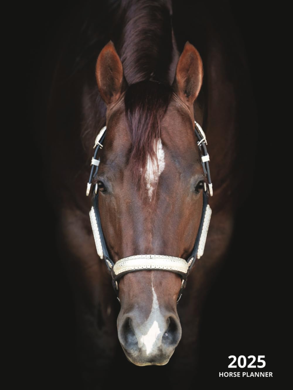 Planner Publicó De Forma Independiente 2025 Horse Monthly De Enero A Diciembre G - Venta Internacional.