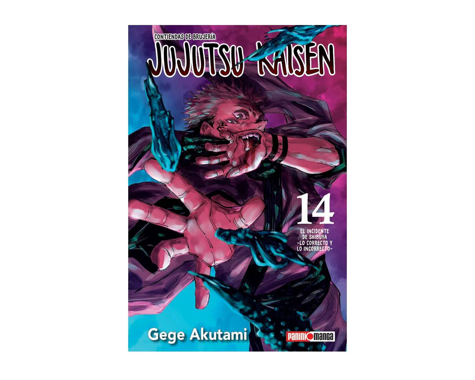 Foto 2 pulgar | Manga Jujutsu Kaisen Panini Tomo Número 14