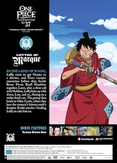 Foto 3 | Dvd One Piece Collection 37 Crunchyroll Con Apertura Sin Texto - Venta Internacional.