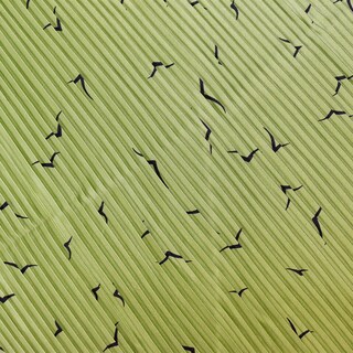 Foto 3 | Mascadas Fullards Con Textura Plisada Y Diseño Estampado (10 Pzs.)