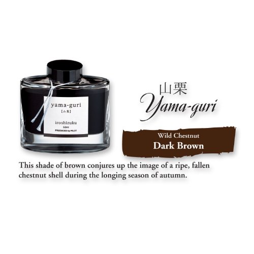 Foto 4 pulgar | Tinta Para Pluma Estilográfica Pilot Iroshizuku Yama-guri Wild 50 Ml - Venta Internacional.