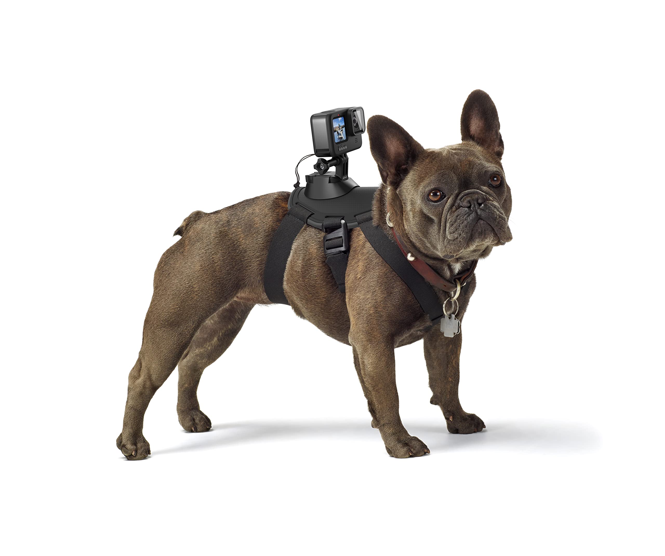Foto 2 pulgar | Arnés Para Perros Gopro Fetch, Soporte Oficial Para Gopro - Venta Internacional.
