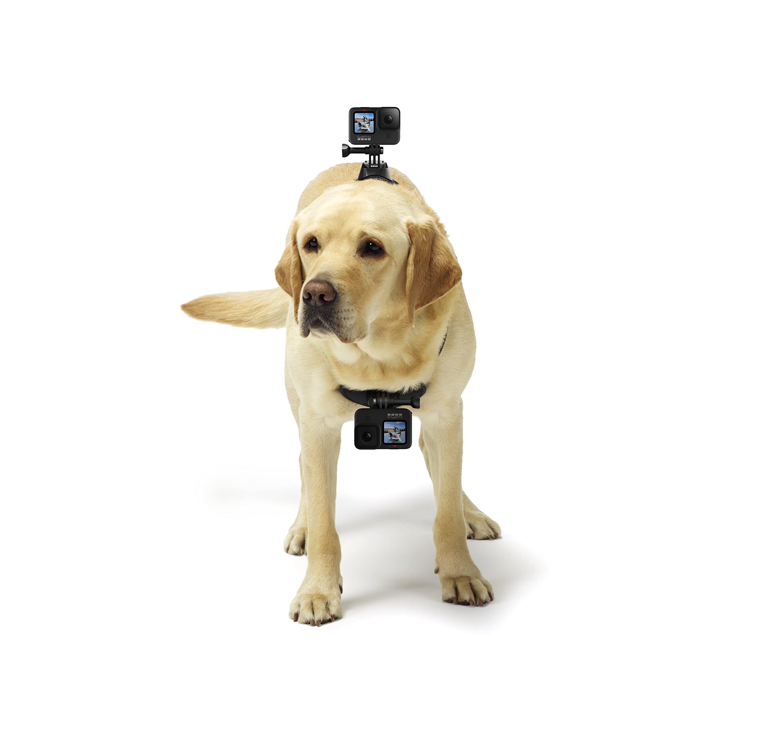 Foto 3 | Arnés Para Perros Gopro Fetch, Soporte Oficial Para Gopro - Venta Internacional.