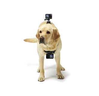 Foto 3 | Arnés Para Perros Gopro Fetch, Soporte Oficial Para Gopro - Venta Internacional.
