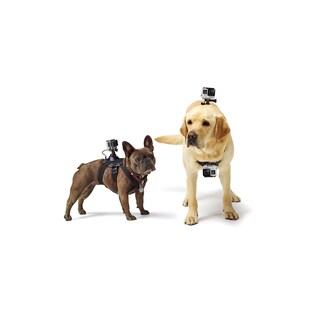 Foto 4 | Arnés Para Perros Gopro Fetch, Soporte Oficial Para Gopro - Venta Internacional.