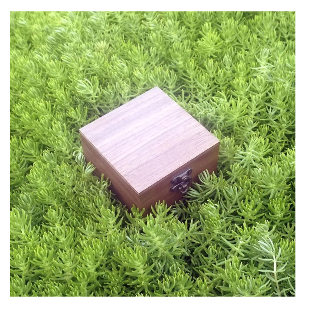 Foto 6 pulgar | Caja Organizadora Madera Nogal Para Relojes Collares Belug, Cafe