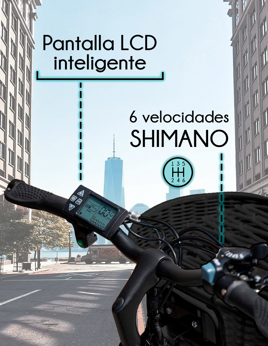Foto 5 | Bicicleta Eléctrica Vintage Red V Rin 26 con Pantalla LCD y Motor Potente de 350W