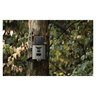 Foto 6 | Caja de Seguridad Acero Spypoint Sb-500s - Venta Internacional
