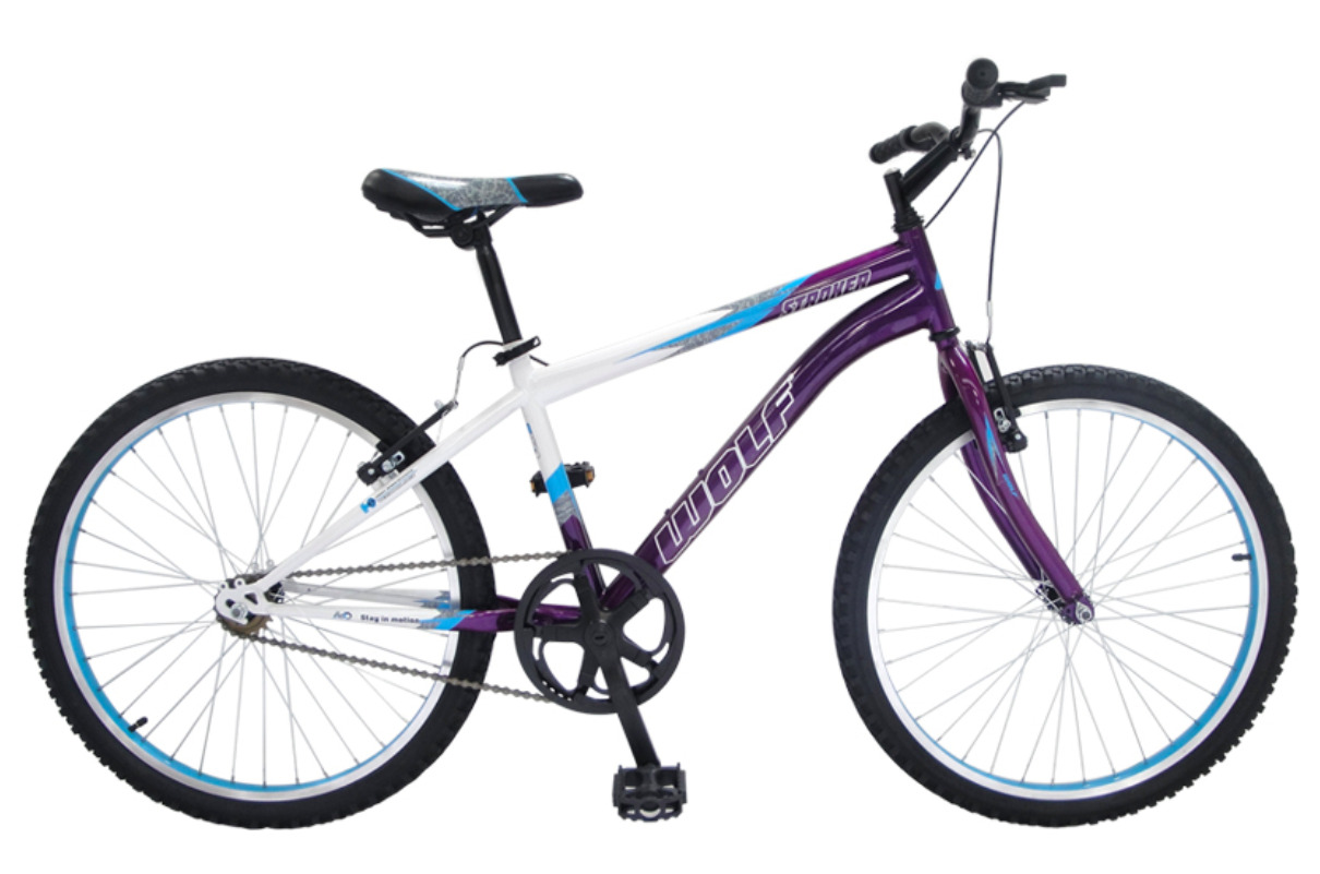 Bicicleta Wolf Montaña R24 1v Frenos V Acero color Púrpura