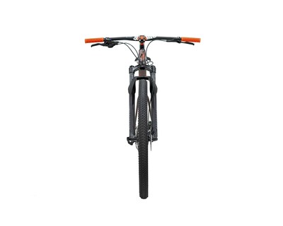 Foto 3 | Bicicleta Belfort Alom Comp B1 R29 T15 Cobre 2025