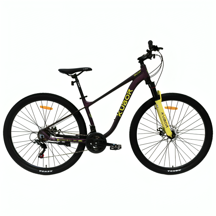 Bicicleta De Montaña Galaxy R29 21v Purpura/amarillo