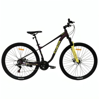 Foto 1 | Bicicleta De Montaña Galaxy R29 21v Purpura/amarillo