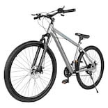 Bicicleta Montaña Aluminio Premium R29 21 Velocidades Plata Centurfit