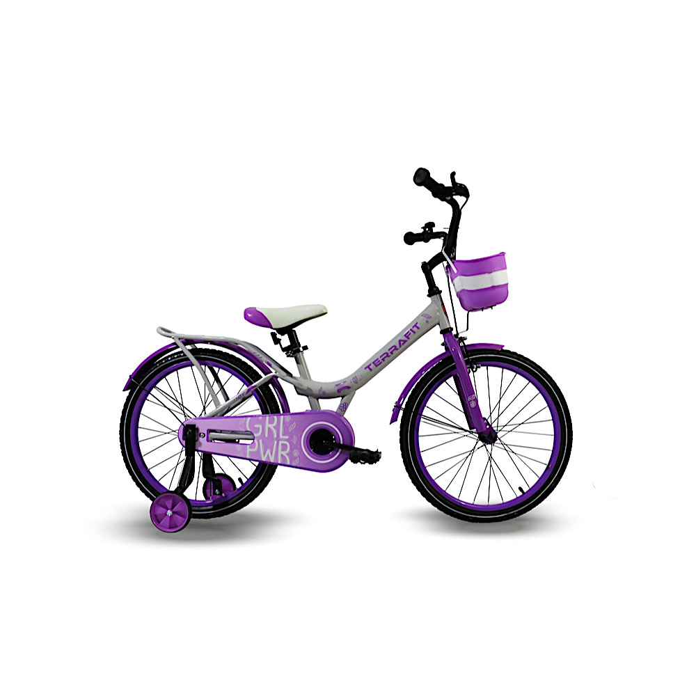 Foto 1 | Bicicleta Infantil Terrafit Minerva R20 Acero Inoxidable 1V color Púrpura