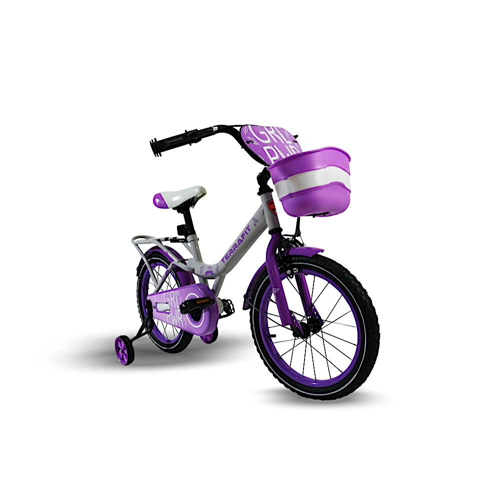 Foto 2 | Bicicleta Infantil Terrafit Minerva R16 Acero Inoxidable 1V color Púrpura