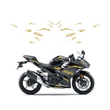 Kit De Calcomanías Gráficas Para Motocicletas Kawasaki Ninja 400 - Venta Internacional.