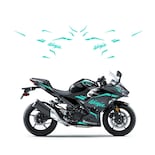 Kit De Calcomanías Gráficas Para Motocicletas Kawasaki Ninja 400 - Venta Internacional.