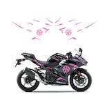 Kit De Calcomanías Gráficas Para Motocicletas Kawasaki Ninja 400 - Venta Internacional.