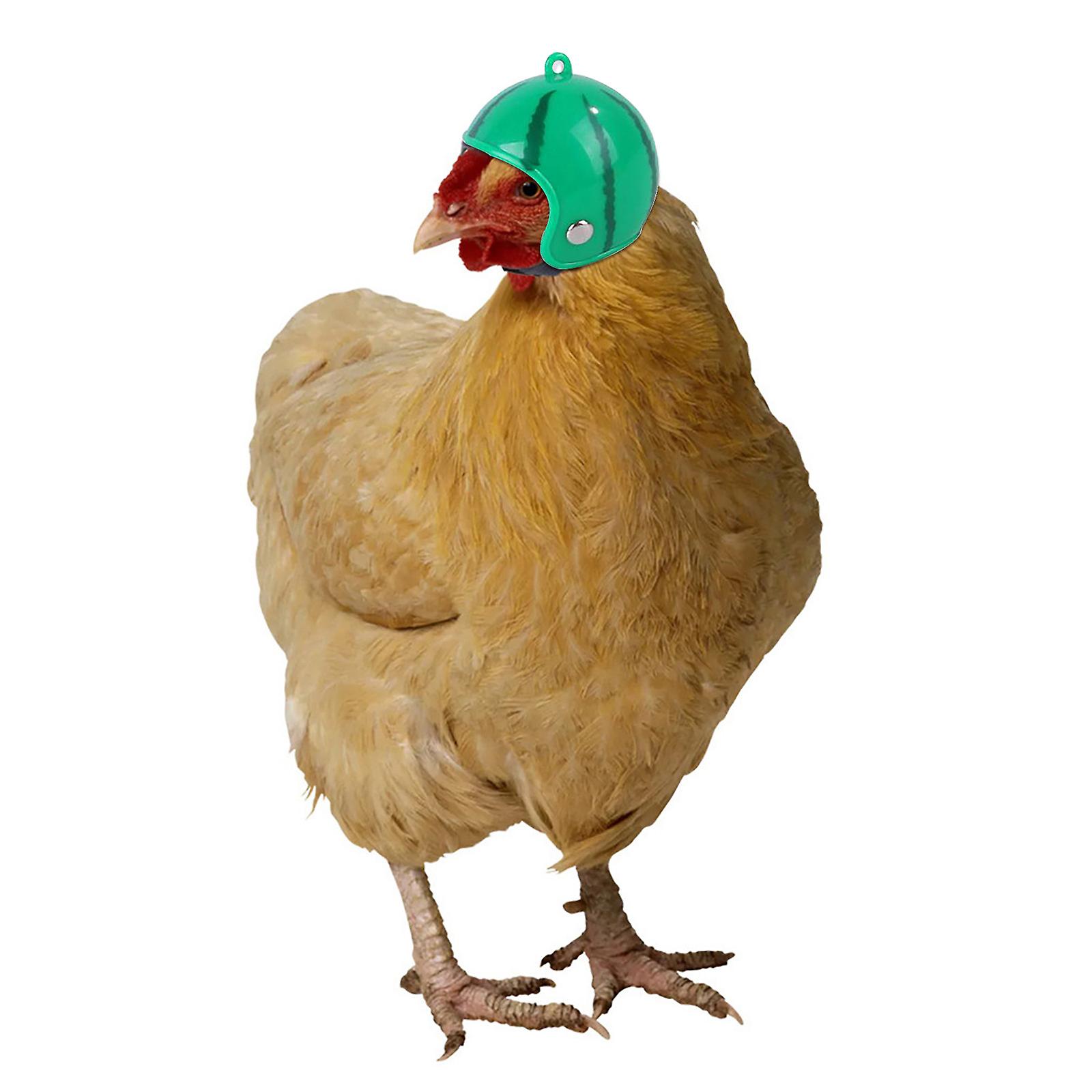 Foto 5 pulgar | Casco De Pollo Huoguo Divertido Protector Para Aves - Venta Internacional.
