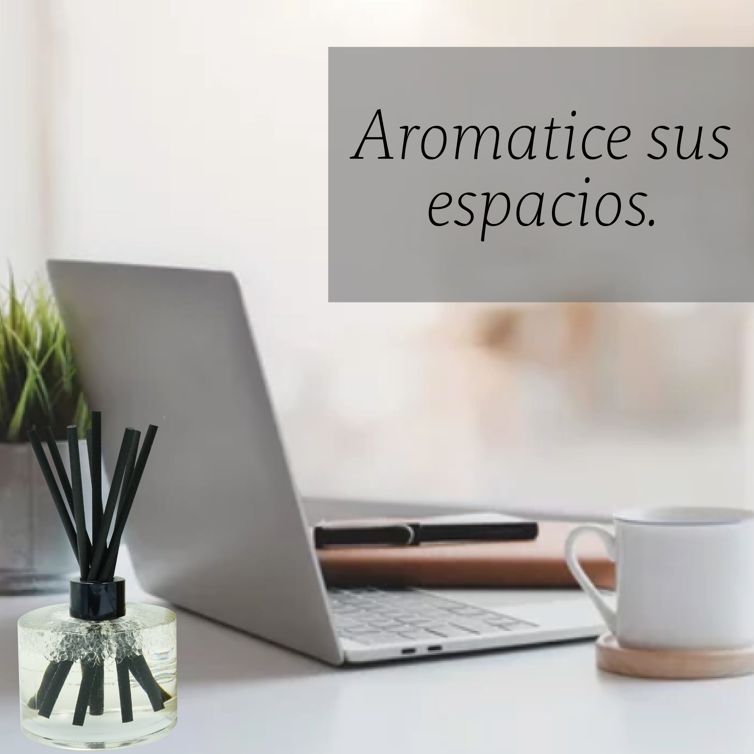 Foto 2 | Reed Diffuser Aromatizante de Ambiente Punto Aroma Fresh Water Cologne