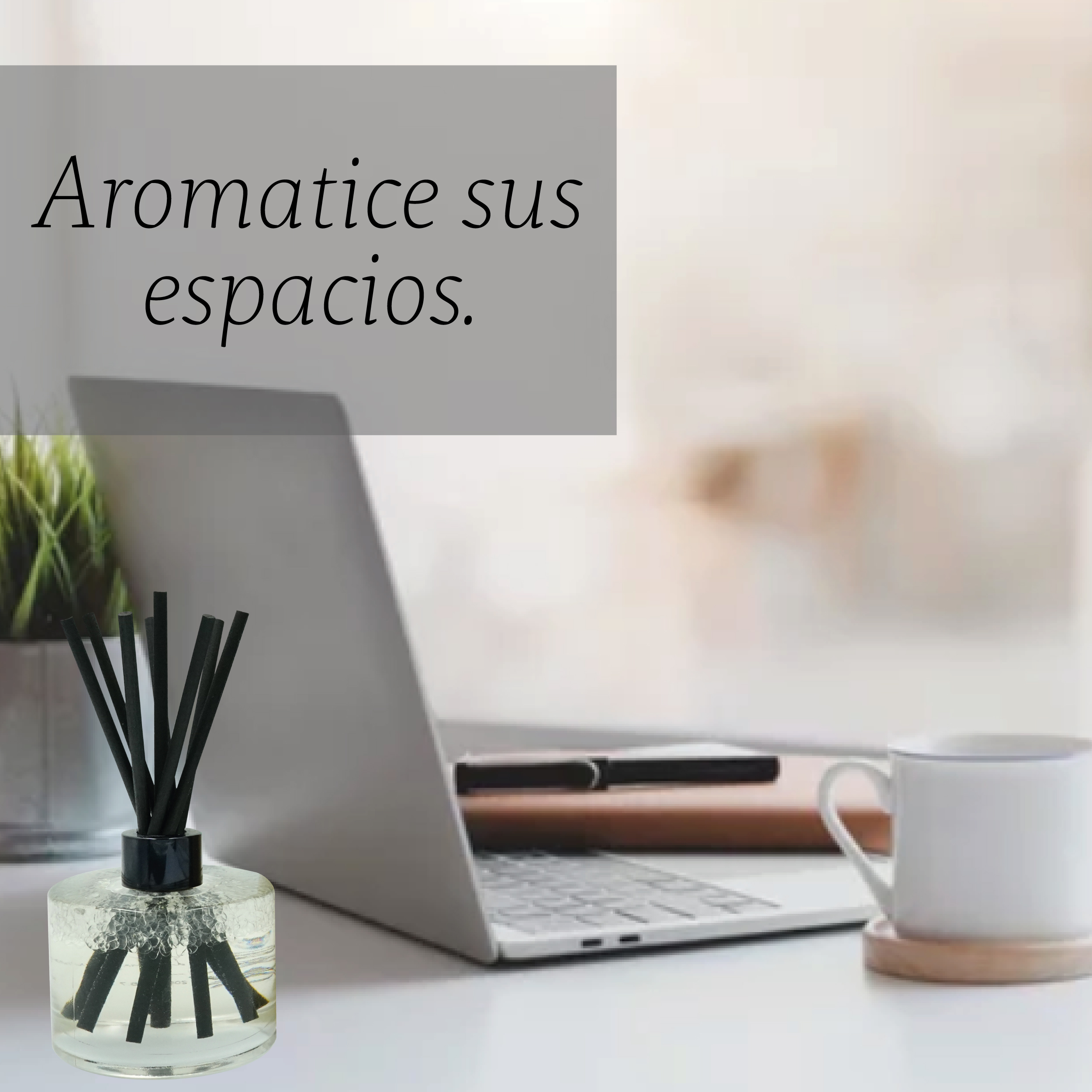 Foto 3 pulgar | Reed Diffuser Aromatizante de Ambiente Punto Aroma Coconut Beach