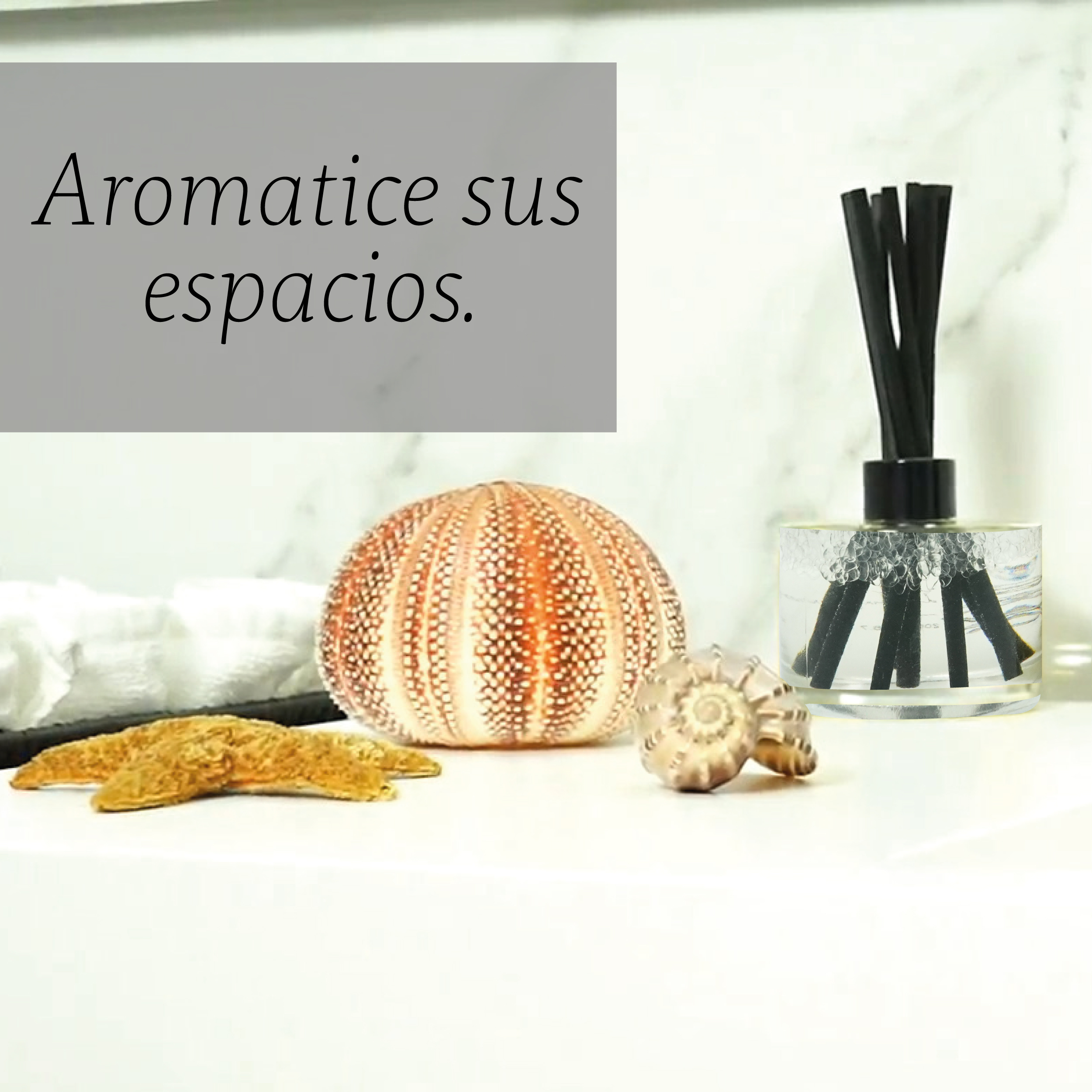 Foto 3 pulgar | Aromatizante de Ambiente Reed Diffuser - Punto Aroma - Minty White Tea