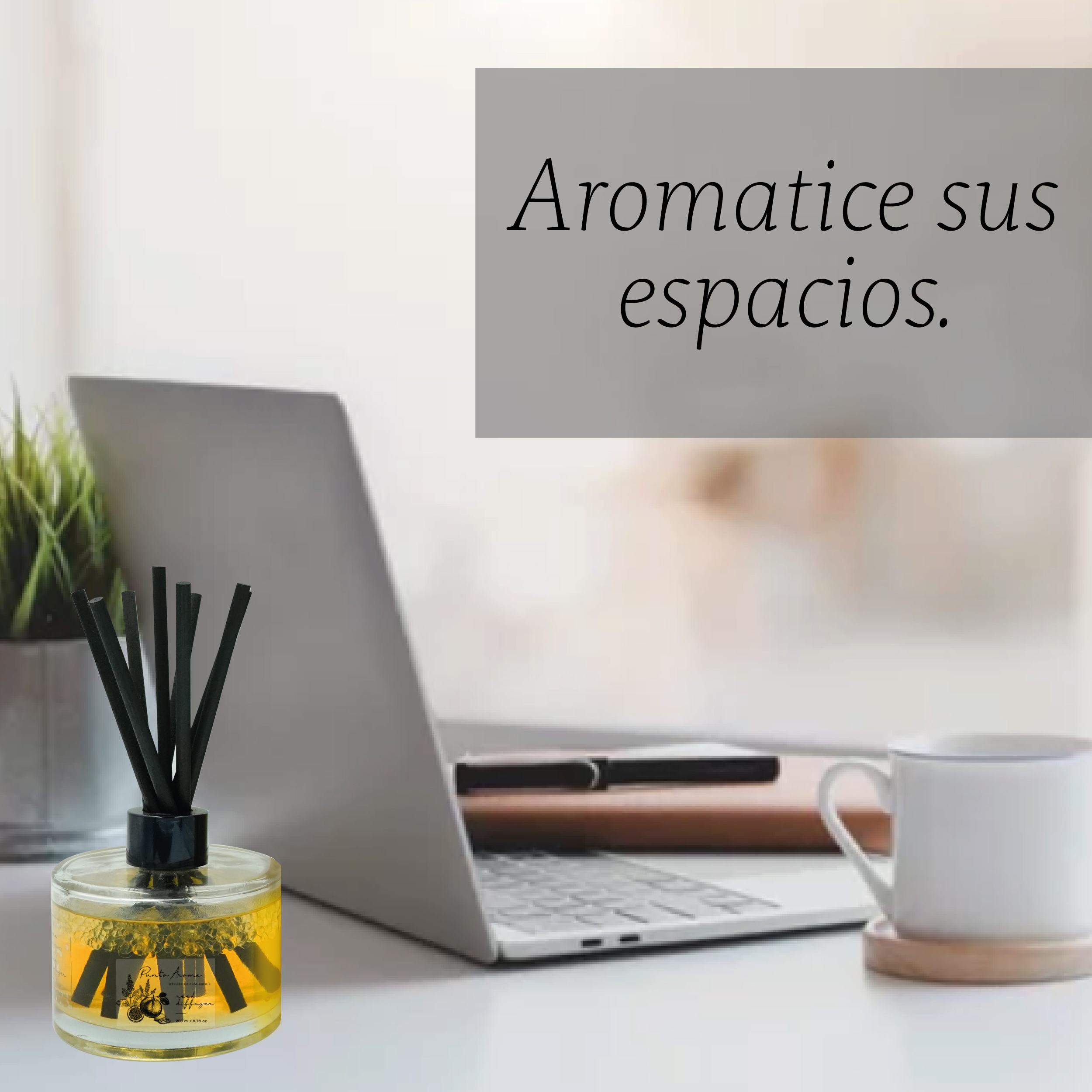 Foto 2 | Aromatizante de Ambiente Reed Diffuser - Punto Aroma - Grapefruit Zest