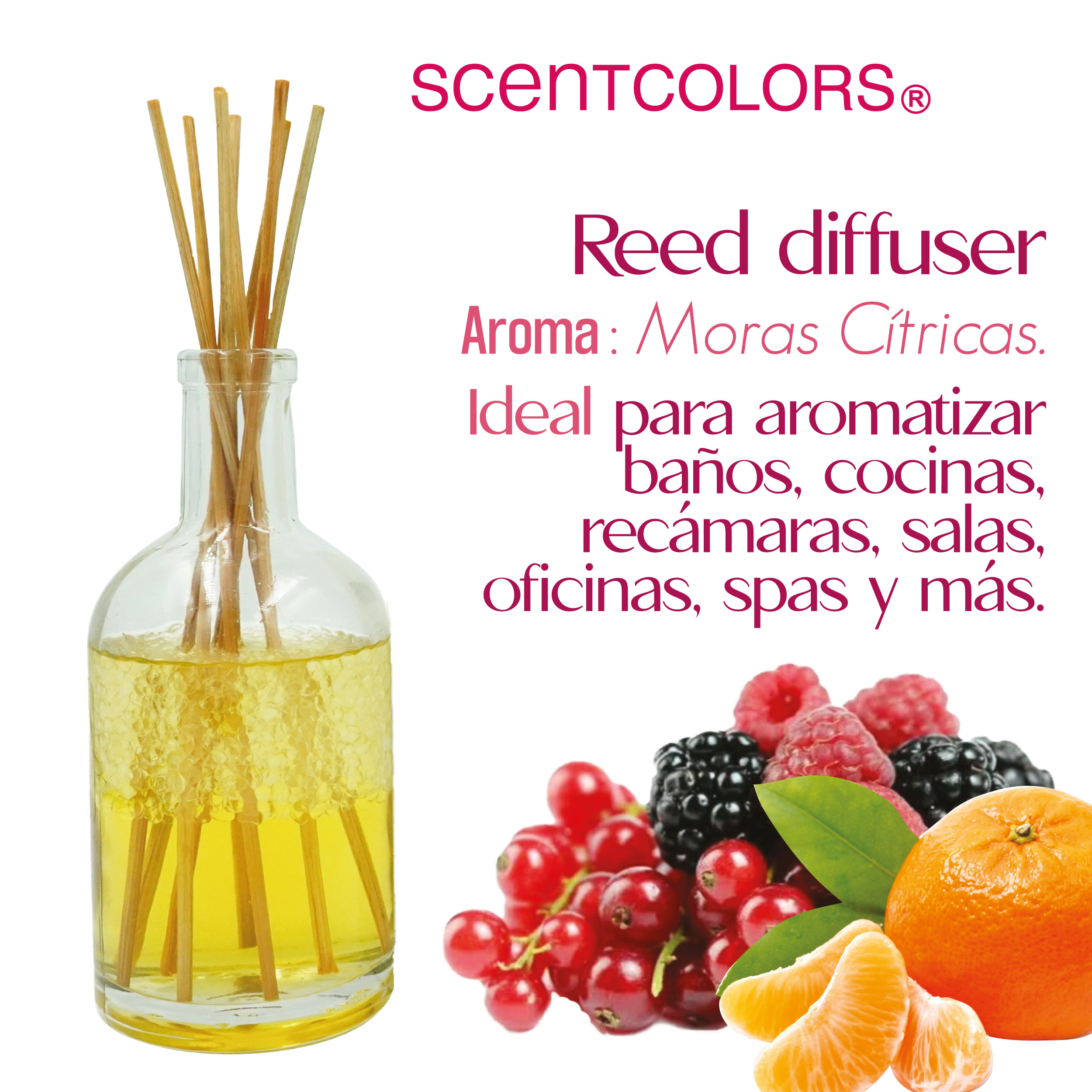 Foto 3 pulgar | Aromatizante de Ambiente Reed Diffuser - Scent Colors - Moras