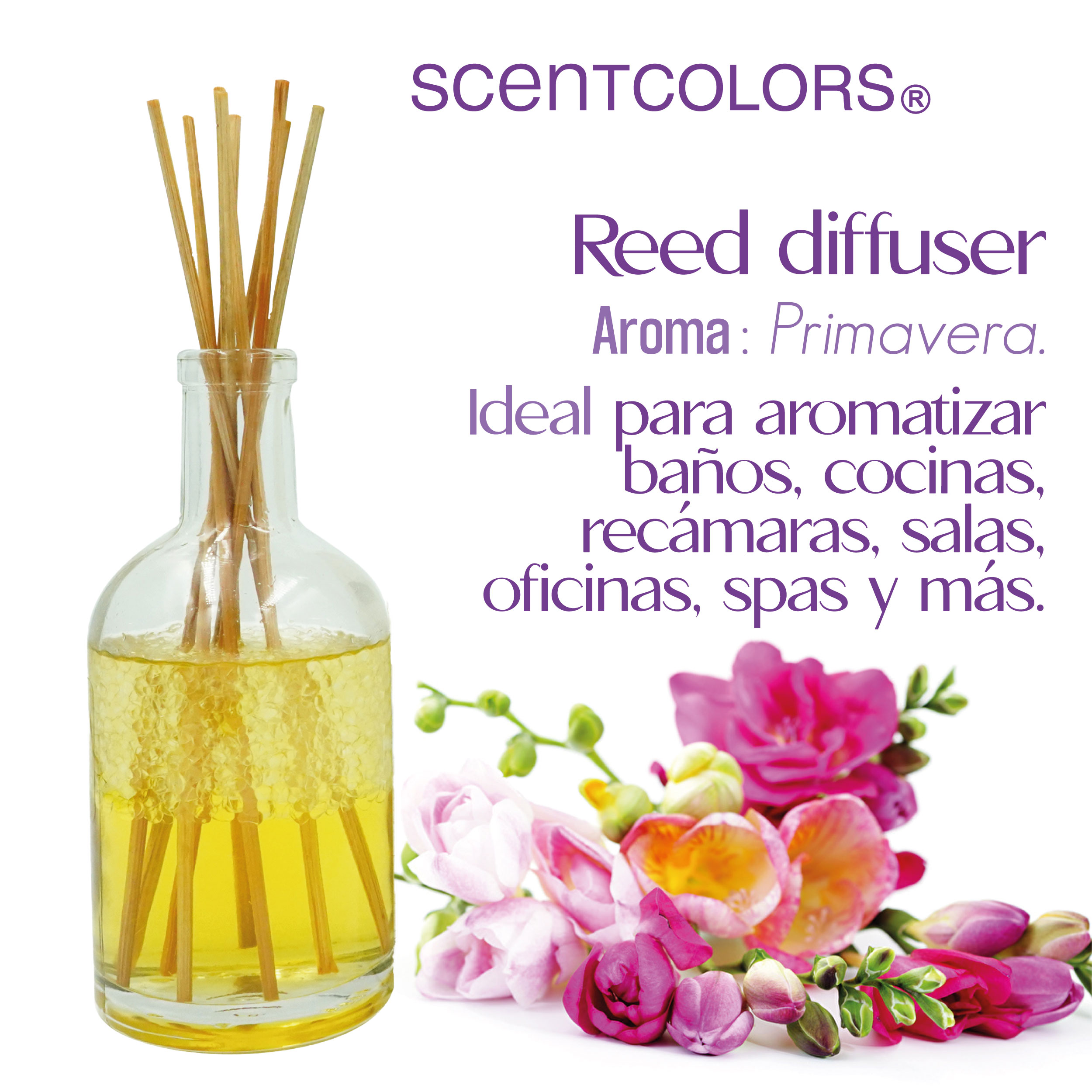 Foto 3 pulgar | Aromatizante de Ambiente Reed Diffuser - Scent Colors - Primavera